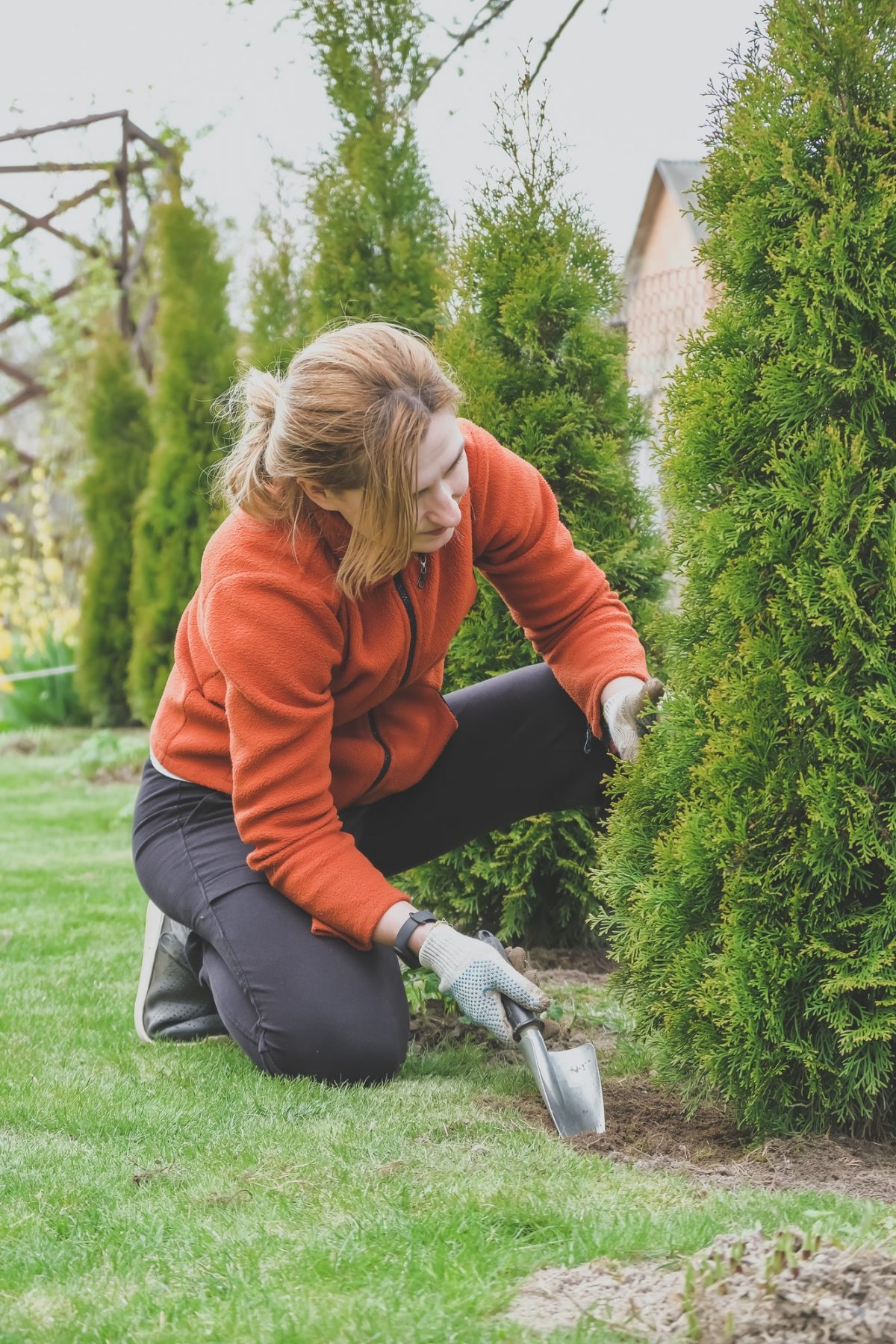 Agriculture.Girl agronomist takes care of plants in the garden at home.Cottagecore,garden house