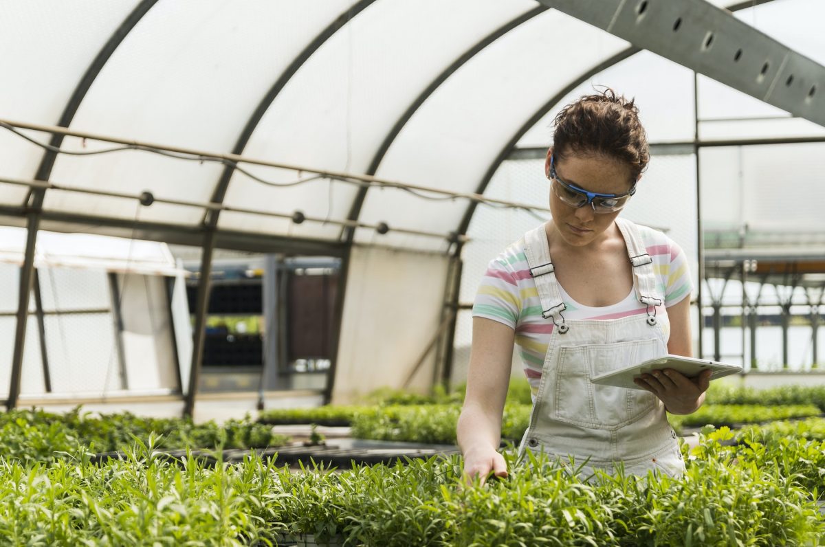 Young female gardener working in plant nursery